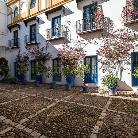 Dream Sevilla